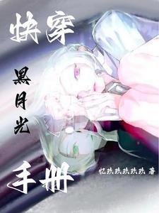 清穿之宠妃上位记快穿春夜载月