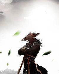 禁忌的武士